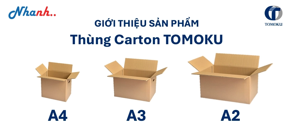 Thùng Carton TOMOKU: Giải Pháp Lưu Trữ Hồ Sơ Tối Ưu Cho Văn Phòng Hiện Đại